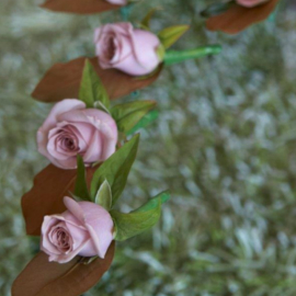 grooms buttonholes